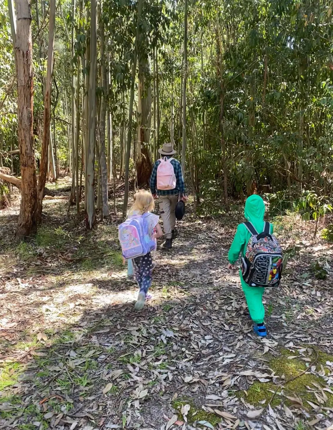 Children and educator exploring local woodland