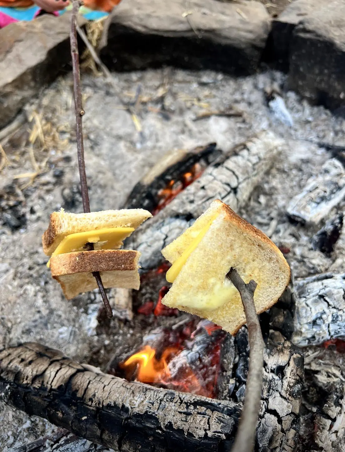 Natural materials set out for a hands-on holiday workshop